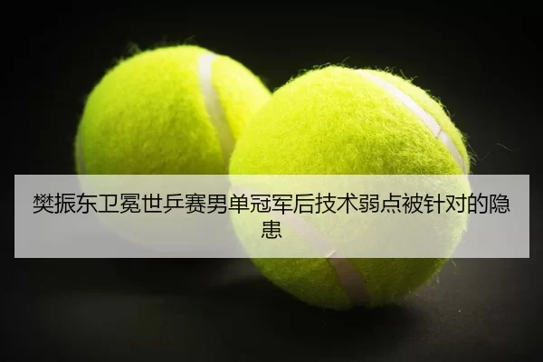 樊振东卫冕世乒赛男单冠军后技术弱点被针对的隐患