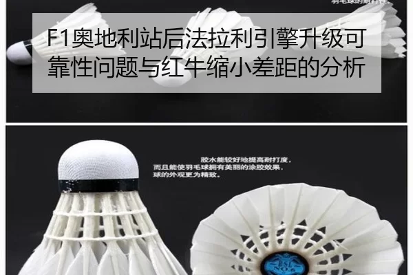 ao-di-li-zhan-hou-fa-la-li-yin-qing-sheng-ji-ke-kao-xing-wen-ti-yu-hong-niu-suo-xiao-cha-ju-de-fen-xi-3-508.jpg