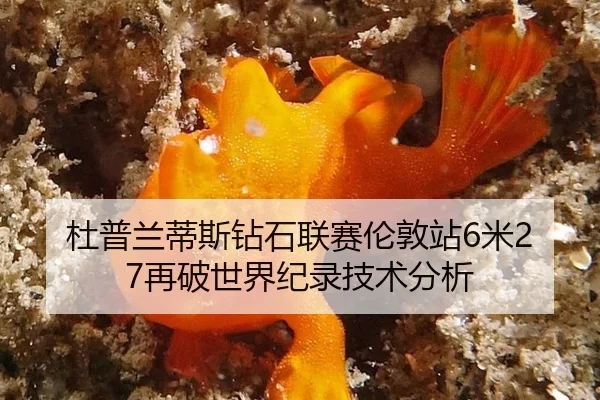 杜普兰蒂斯钻石联赛伦敦站6米27再破世界纪录技术分析
